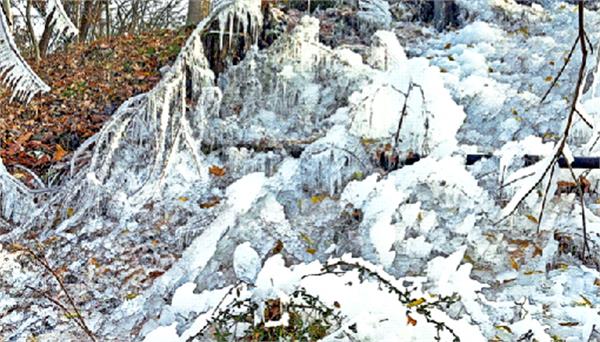 snowfall in valley  mercury drops in plains