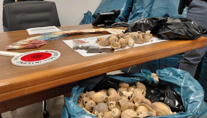 ਇਟਲੀ ’ਚ ਇਕ ਭਾਰਤੀ ਕੋਲੋਂ ਫੜੇ ਗਏ 54 ਕਿਲੋ ਡੋਡੇ, ਅਫ਼ੀਮ ਤੇ ਨਕਦੀ