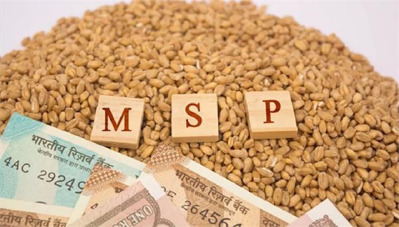 24 ਫਸਲਾਂ ’ਤੇ MSP ਦੇਣ ਵਾਲਾ ਹਰਿਆਣਾ ਦੇਸ਼ ਦਾ ਪਹਿਲਾ ਸੂਬਾ: ਅਮਿਤ ਸ਼ਾਹ