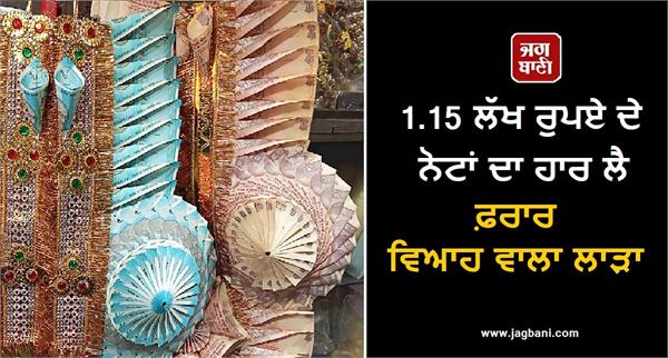 rs 1 15 lakh currency notes wedding groom