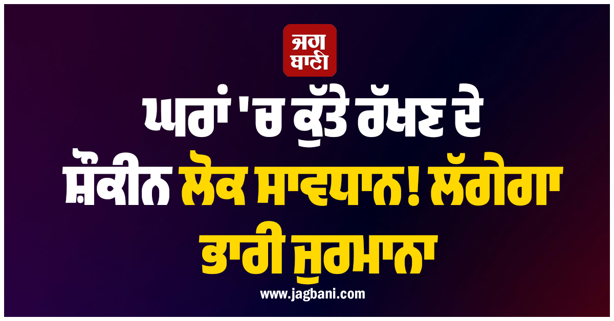 ਘਰਾਂ 'ਚ ਕੁੱਤੇ ਰੱਖਣ ਦੇ ਸ਼ੌਕੀਨ ਲੋਕ ਸਾਵਧਾਨ! ਲੱਗੇਗਾ ਭਾਰੀ ਜੁਰਮਾਨਾ, ਜਾਰੀ ਹੋਏ ਨਵੇਂ ਨਿਯਮ