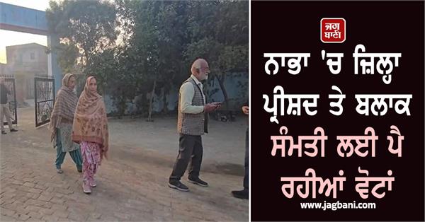 voting underway for zila parishad and block samiti in nabha
