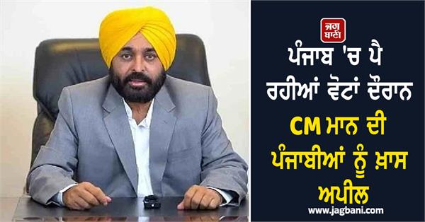 cm mann s special appeal to punjabis during voting in punjab