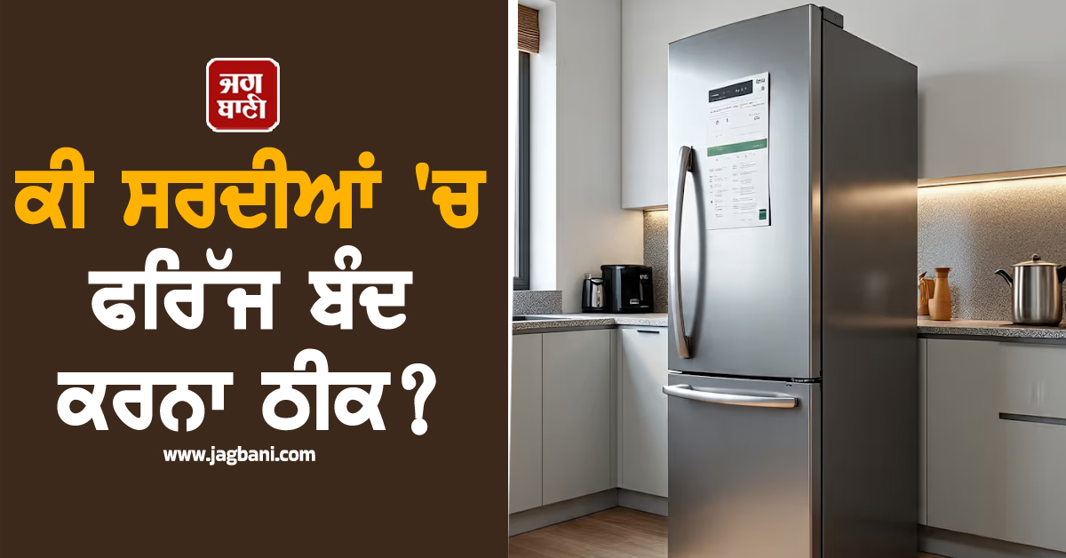 ਕੀ ਸਰਦੀਆਂ ''ਚ ਫਰਿੱਜ ਬੰਦ ਕਰਨਾ ਠੀਕ? ਜਾਣੋ ਮਾਹਿਰਾਂ ਦੀ ਰਾਏ