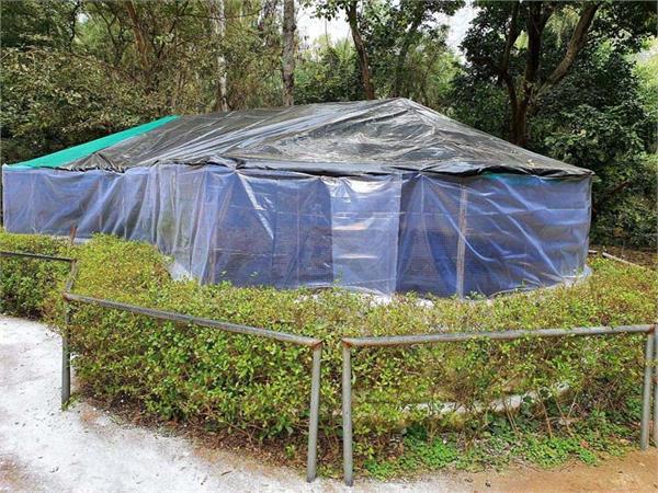 special arrangements made to protect animals from cold in chhatbir zoo