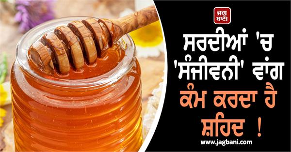 winter  weather  honey  health