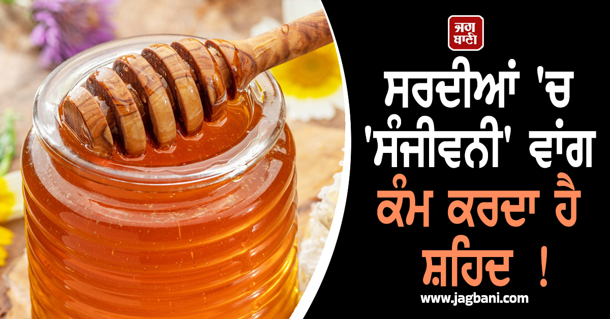 ਸਰਦੀਆਂ ''ਚ ''ਸੰਜੀਵਨੀ'' ਵਾਂਗ ਕੰਮ ਕਰਦਾ ਹੈ ਸ਼ਹਿਦ ! ਕਈ ਬੀਮਾਰੀਆਂ ਤੋਂ ਕਰੇ ਬਚਾਅ, ਜਾਣੋ ਕੀ ਹੈ ਖਾਣ ਦਾ ਸਹੀ ਤਰੀਕਾ