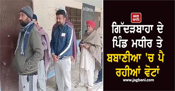 voting underway in madhir and babania villages of gidderbaha