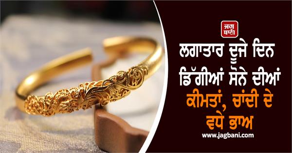 gold prices fall   silver prices rise