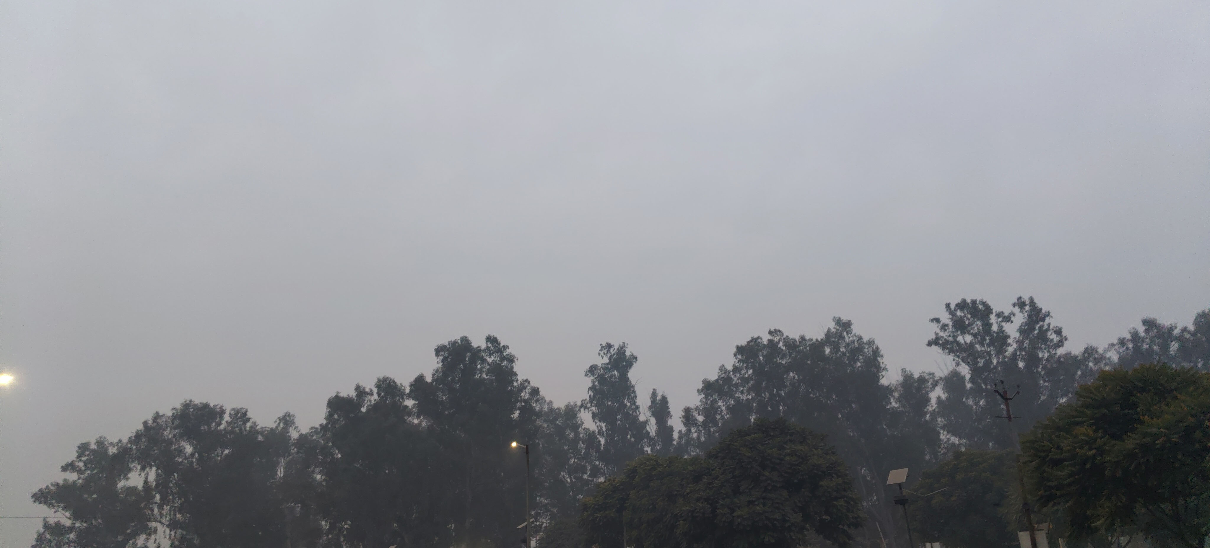 ਸੁੱਕੀ ਠੰਡ ਤੇ ਪ੍ਰਦੂਸ਼ਣ ਨੇ ਵਧਾਈ ਚਿੰਤਾ, ਫਸਲਾਂ ਤੇ ਸਿਹਤ ਦੋਵੇਂ ਪ੍ਰਭਾਵਿਤ