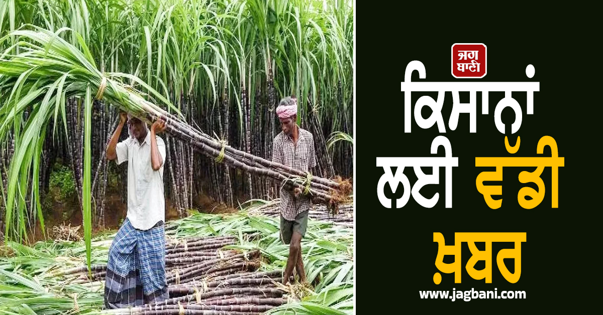 ਕਿਸਾਨਾਂ ਲਈ ਵੱਡੀ ਖ਼ਬਰ: ਗੰਨੇ ਦੀ MSP ''ਚ 30 ਰੁਪਏ ਪ੍ਰਤੀ ਕੁਇੰਟਲ ਦਾ ਵਾਧਾ