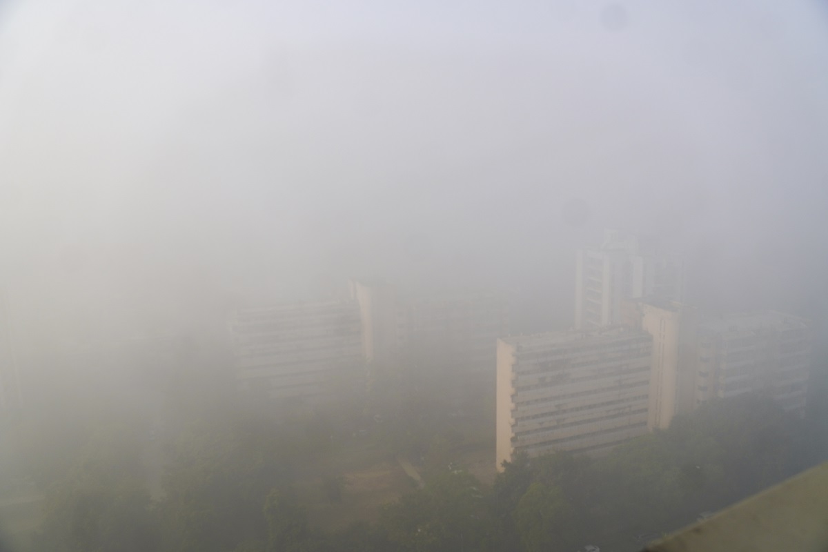 ਹੁਣ ਦਫ਼ਤਰ ਆਵੇਗਾ ਸਿਰਫ਼ 50 ਫ਼ੀਸਦੀ ਸਟਾਫ਼ ! ਦਿੱਲੀ ''ਚ ਇਨ੍ਹਾਂ ਵਾਹਨਾਂ ਦੀ ਐਂਟਰੀ ''ਤੇ ਲੱਗੀ ਰੋਕ