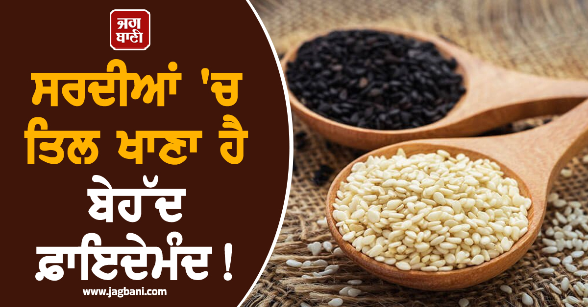 ਸਰਦੀਆਂ ''ਚ ਤਿਲ ਖਾਣਾ ਹੈ ਬੇਹੱਦ ਫ਼ਾਇਦੇਮੰਦ! ਡਾਕਟਰ ਨੇ ਦੱਸਿਆ ਸੇਵਨ ਕਰਨ ਦਾ ਸਹੀ ਤਰੀਕਾ
