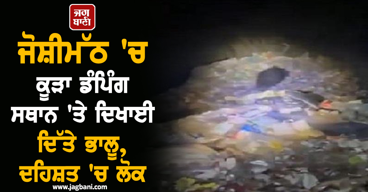 ਜੋਸ਼ੀਮੱਠ ''ਚ ਕੂੜਾ ਡੰਪਿੰਗ ਸਥਾਨ ''ਤੇ ਦਿਖਾਈ ਦਿੱਤੇ ਭਾਲੂ, ਦਹਿਸ਼ਤ ''ਚ ਲੋਕ