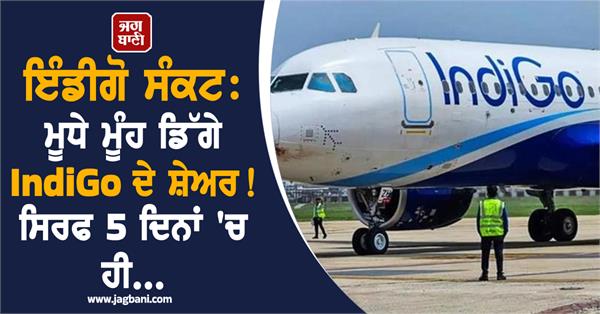 indigo crisis  indigo shares plunge