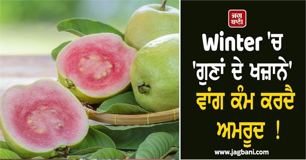 guava  health  benefits  winter