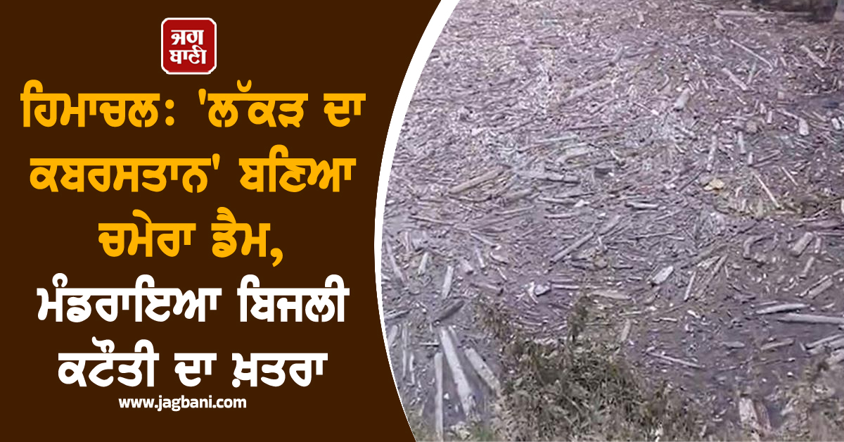 ਹਿਮਾਚਲ: ''ਲੱਕੜ ਦਾ ਕਬਰਸਤਾਨ'' ਬਣਿਆ ਚਮੇਰਾ ਡੈਮ, ਮੰਡਰਾਇਆ ਬਿਜਲੀ ਕਟੌਤੀ ਦਾ ਖ਼ਤਰਾ