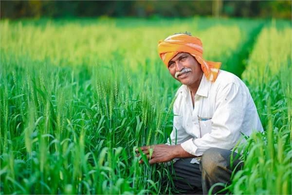 agriculture sector  india success