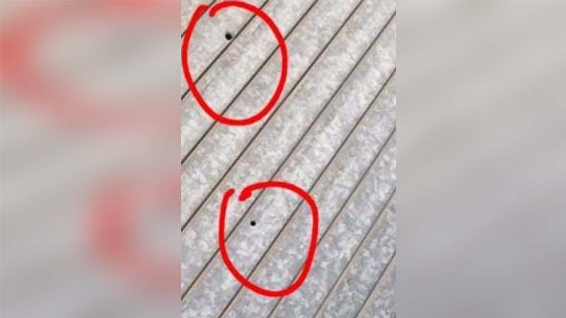 ਗੋਲ਼ੀਆਂ ਦੀ ਠਾਹ-ਠਾਹ ਨਾਲ ਕੰਬਿਆ ਪੰਜਾਬ! ਕਰਿਆਨੇ ਦੇ ਗੋਦਾਮ ’ਤੇ ਫਾਇਰਿੰਗ, ਵ੍ਹਟਸਐਪ ’ਤੇ ਆਇਆ...