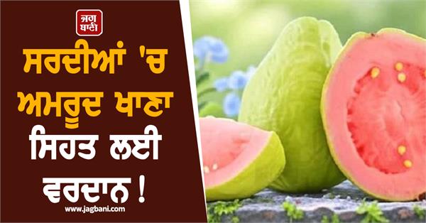 eating guava in winter is a boon for health 
