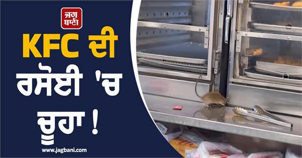 kfc kitchen rats video viral