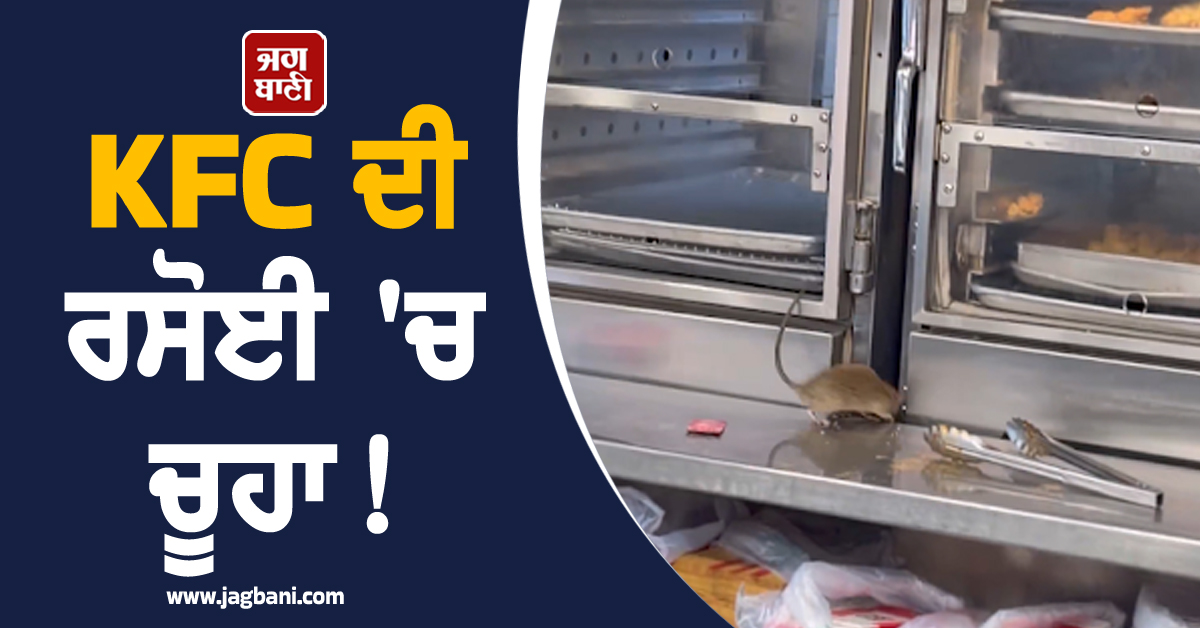 KFC ਦੀ ਰਸੋਈ 'ਚ ਚੂਹੇ! ਕਾਊਂਟਰ 'ਤੇ ਘੁੰਮਣਘੇਰੀ ਦੀ ਵੀਡੀਓ ਹੋਈ ਵਾਇਰਲ