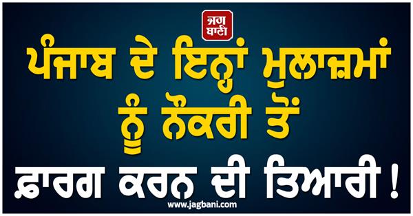 punjab employees job