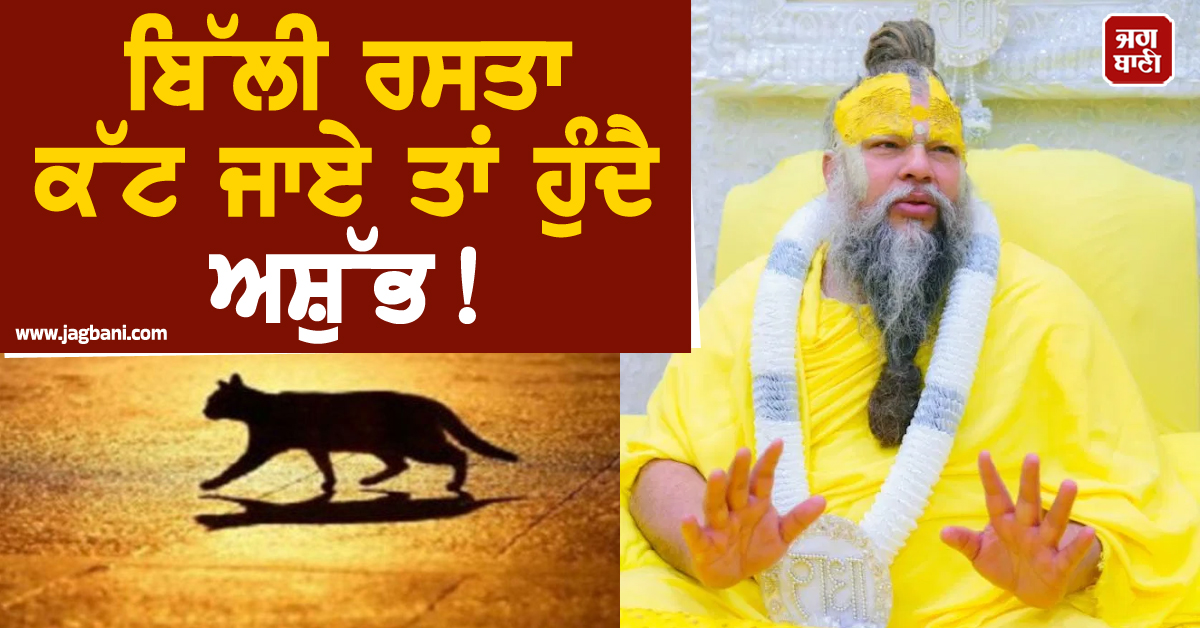 ਬਿੱਲੀ ਰਸਤਾ ਕੱਟ ਜਾਏ ਤਾਂ ਹੁੰਦੈ ਅਸ਼ੁੱਭ ! ਕੀ ਸਚਮੁੱਚ ਨਹੀਂ ਬਣਦਾ ਕੰਮ ? ਜਾਣੋ ਕੀ ਹੈ ਪ੍ਰੇਮਾਨੰਦ ਜੀ ਦਾ ਕਹਿਣਾ