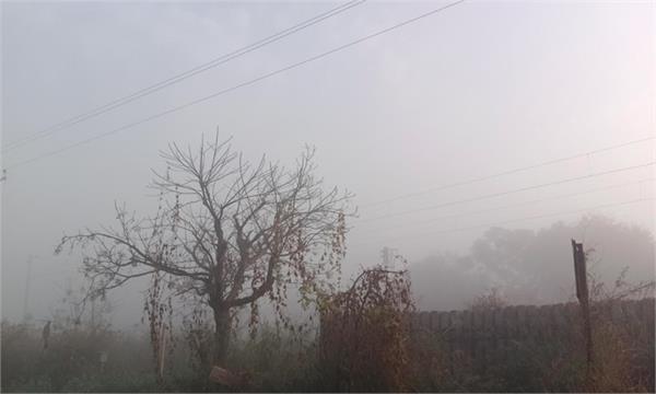 fog wreaks havoc in punjab