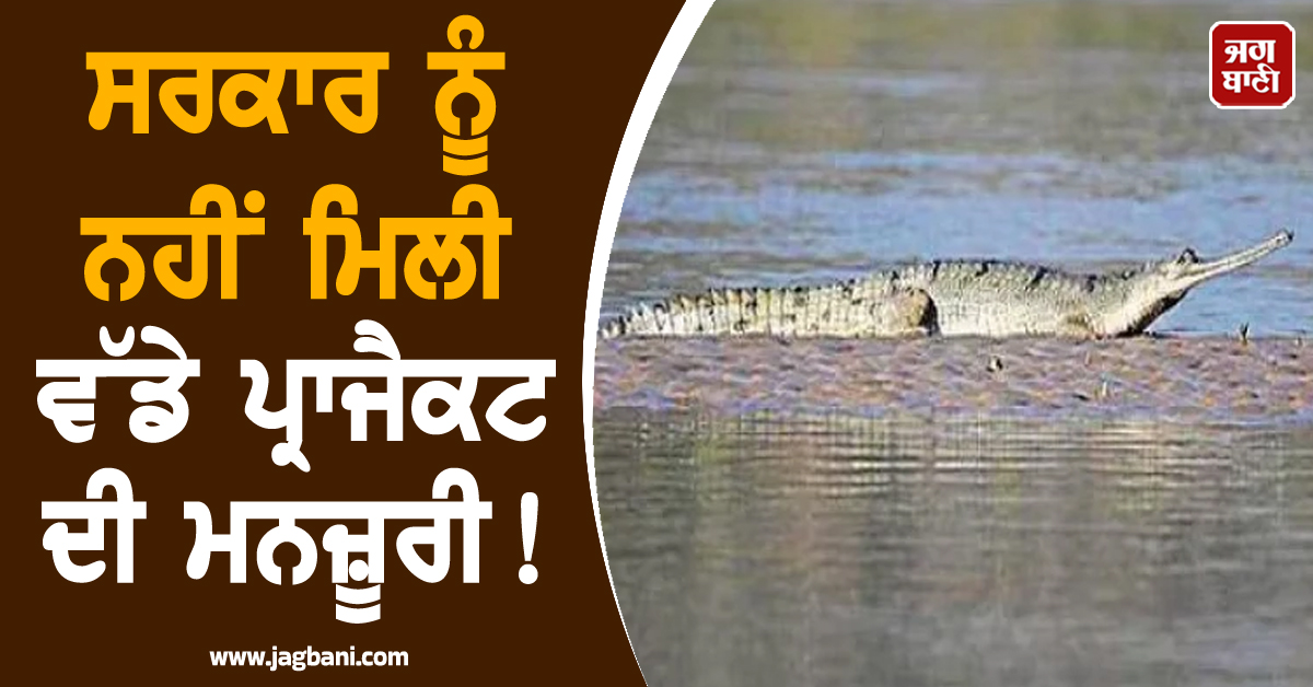 ਸਰਕਾਰ ਨੂੰ ਨਹੀਂ ਮਿਲੀ ਵੱਡੇ ਪ੍ਰਾਜੈਕਟ ਦੀ ਮਨਜ਼ੂਰੀ! ਵਜ੍ਹਾ ਬਣੇ ਘੜਿਆਲ, ਪੜ੍ਹੋ ਪੂਰੀ ਖ਼ਬਰ