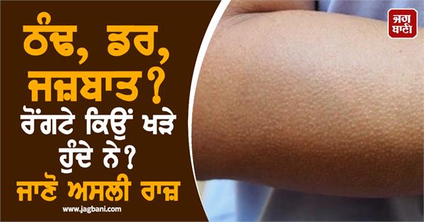 goosebumps  body  cold  skin