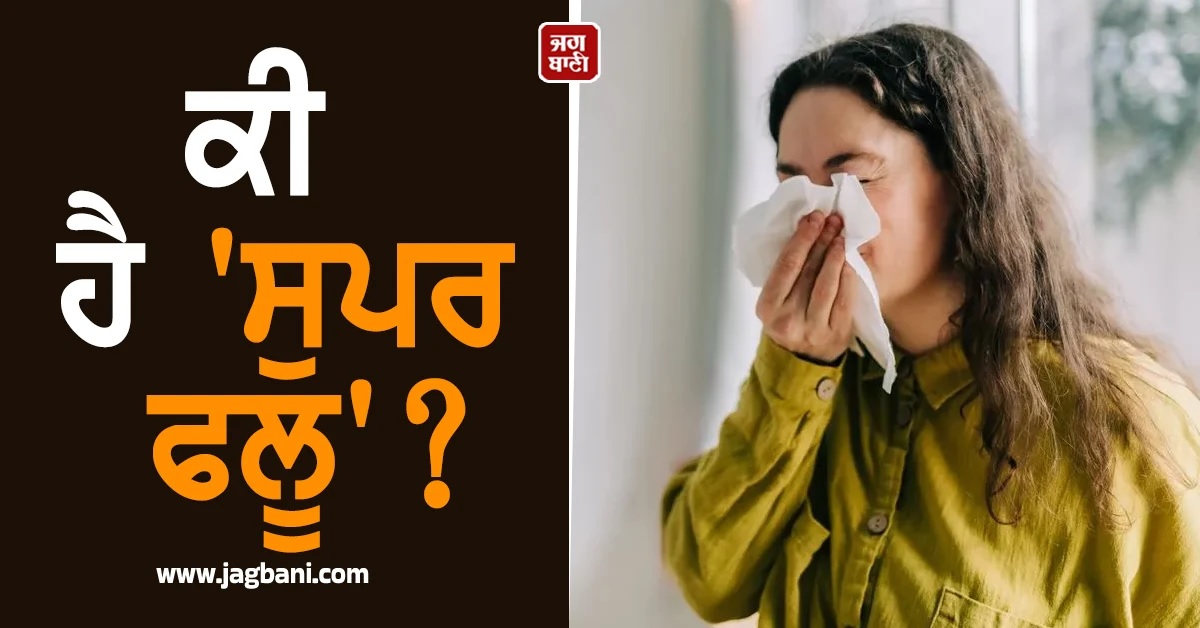 ਹੁਣ ਆ ਰਹੀ ''ਸੁਪਰ ਫਲੂ'' ਦੀ ਲਹਿਰ! Pak ''ਚ ਸਾਹਮਣੇ ਆਇਆ ਮਾਮਲਾ, ਭਾਰਤ ਲਈ ਵੀ ਅਲਰਟ