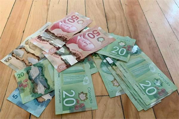 counterfeit notes abound in canada  retail council warns shopkeepers  customers