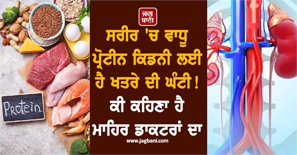 excess protein in the body a danger signal for the kidneys 