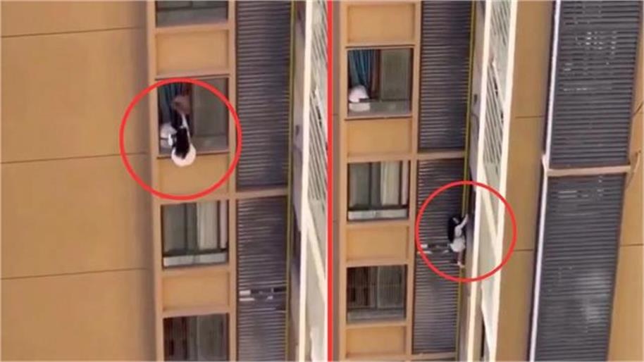 ਮੌਜ-ਮਸਤੀ ਦੌਰਾਨ ਅਚਾਨਕ ਆ ਗਈ ਪਤਨੀ, ਬੰਦੇ ਨੇ ਉਦਾਂ ਹੀ ਖਿੜਕੀ ''ਤੇ ਲਟਕਾ''ਤੀ ਸਹੇਲੀ (ਵੀਡੀਓ ਵਾਇਰਲ)