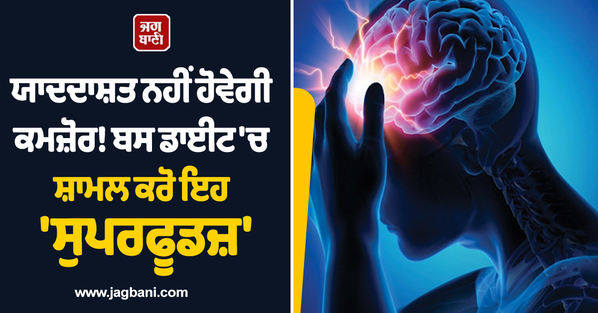 ਯਾਦਦਾਸ਼ਤ ਨਹੀਂ ਹੋਵੇਗੀ ਕਮਜ਼ੋਰ! ਬਸ ਡਾਈਟ ''ਚ ਸ਼ਾਮਲ ਕਰੋ ਇਹ ''ਸੁਪਰਫੂਡਜ਼'', ਬੁਢਾਪੇ ਤੱਕ ਦਿਮਾਗ ਰਹੇਗਾ ਤੇਜ਼
