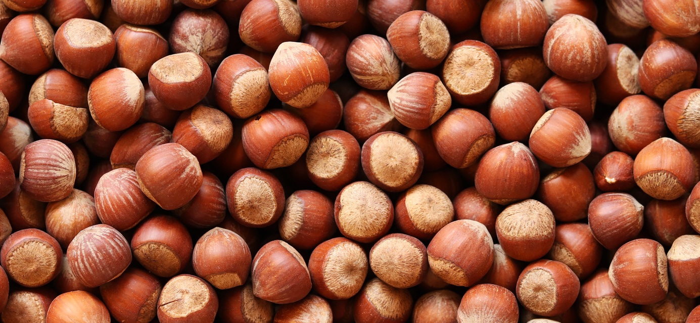 ਇਸ ਡ੍ਰਾਈ ਫਰੂਟ ਦੇ ਸੇਵਨ ਨਾਲ ਸਰੀਰ ਦਾ ਇਹ ਅੰਗ ਹੁੰਦਾ ਹੈ ਮਜ਼ਬੂਤ