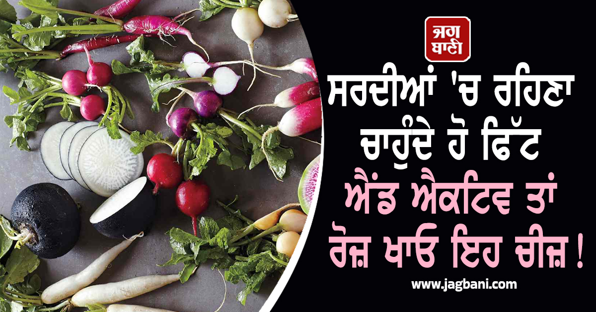 ਸਰਦੀਆਂ ''ਚ ਰਹਿਣਾ ਚਾਹੁੰਦੇ ਹੋ ਫਿੱਟ ਐਂਡ ਐਕਟਿਵ ਤਾਂ ਰੋਜ਼ ਖਾਓ ਇਹ ਚੀਜ਼ ! ਮਿਲਣਗੇ ਹੈਰਾਨੀਜਨਕ ਫ਼ਾਇਦੇ