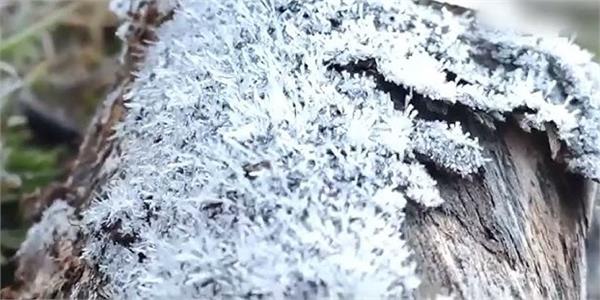 temperatures below  1 in tamilnadu