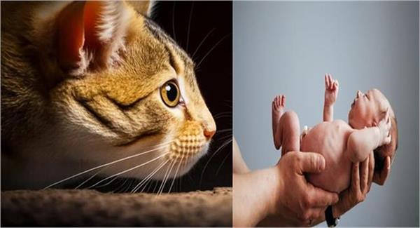 this italian village hears a sound after 30 years