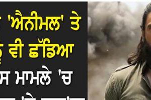 dhurandhar outshines animal and jawan 