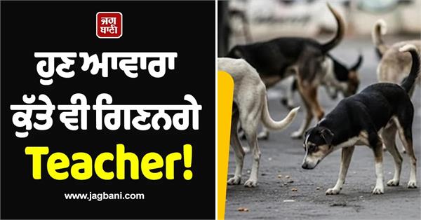 delhi govt orders teachers to count stray dogs supreme court