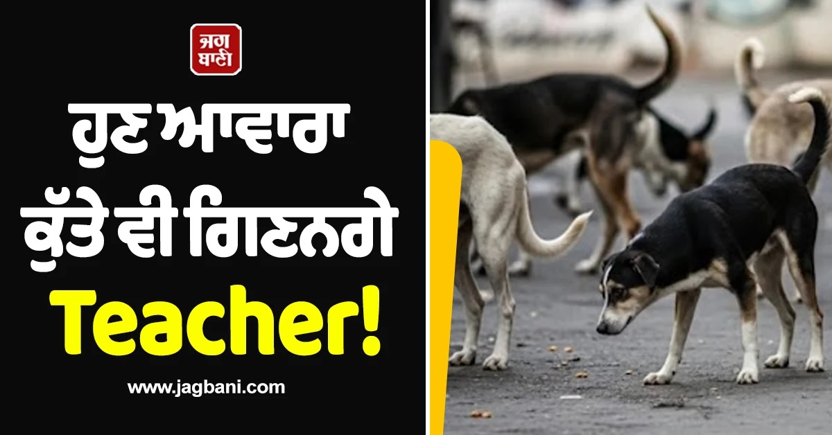 ਹੁਣ ਬੱਚਿਆਂ ਦੀ ਪੜ੍ਹਾਈ ਛੱਡ ਆਵਾਰਾ ਕੁੱਤੇ ਗਿਣਨਗੇ Teacher! ਦਿੱਲੀ ਸਰਕਾਰ ਨੇ ਸਾਫ ਕੀਤਾ ਰੁਖ਼