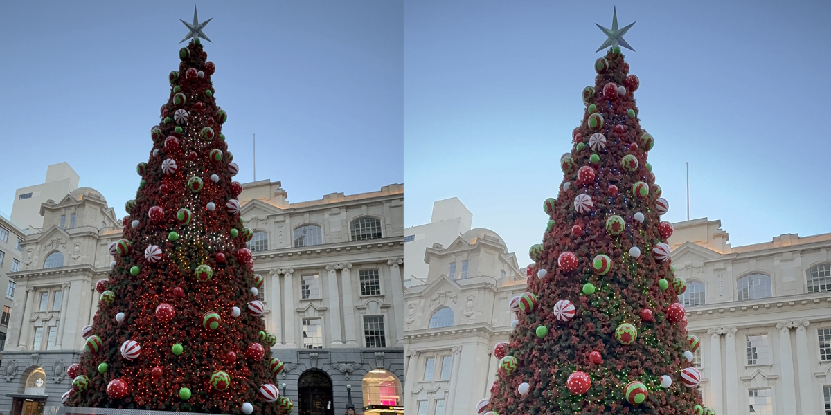 ਆਕਲੈਂਡ 'ਚ 1 ਮਿਲੀਅਨ ਡਾਲਰ 'ਚ ਤਿਆਰ ਕੀਤਾ ਗਿਆ ਖ਼ੂਬਸੂਰਤ ਕ੍ਰਿਸਮਸ ਟ੍ਰੀ, ਹਰ ਕੋਈ ਕਰ ਰਿਹਾ ਤਾਰੀਫ਼