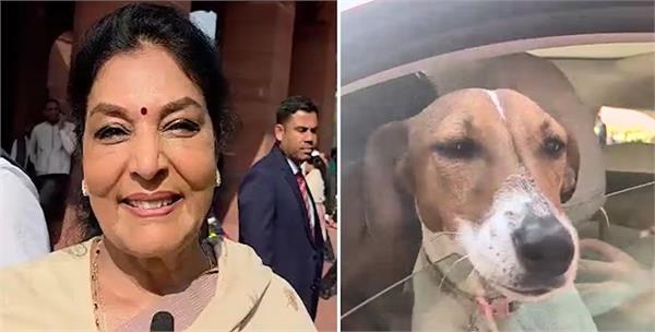 renuka chaudhary on dog