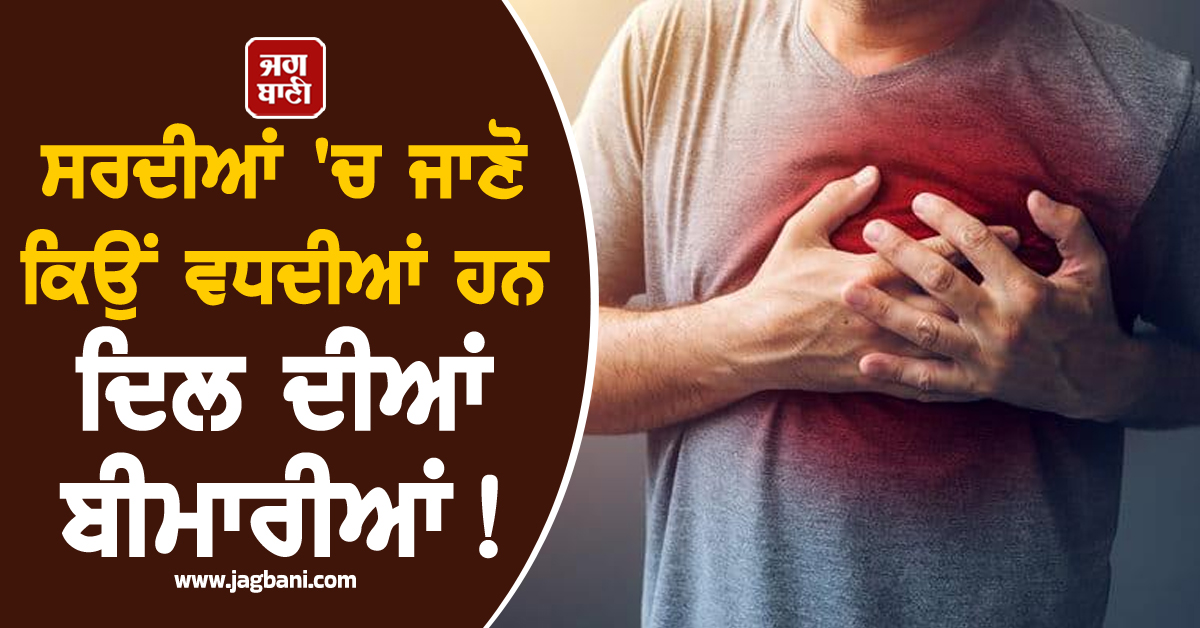 ਸਰਦੀਆਂ 'ਚ ਜਾਣੋ ਕਿਉਂ ਵਧਦੀਆਂ ਹਨ ਦਿਲ ਦੀਆਂ ਬੀਮਾਰੀਆਂ! ਬਜ਼ੁਰਗਾਂ ਨੂੰ ਵਧੇਰੇ ਚੌਕਸ ਰਹਿਣ ਦੀ ਸਲਾਹ