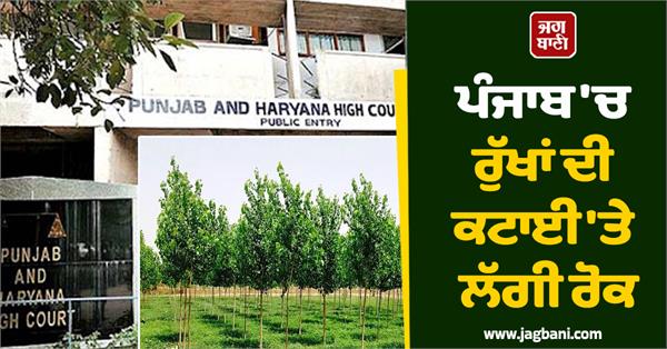 ban on cutting of trees in punjab