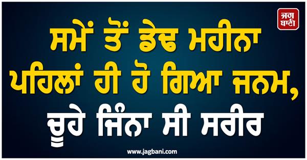 thermocol box to hospital