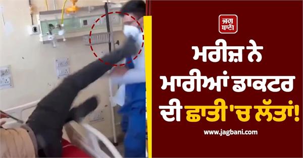 shimla igmc patient assault video viral action demand