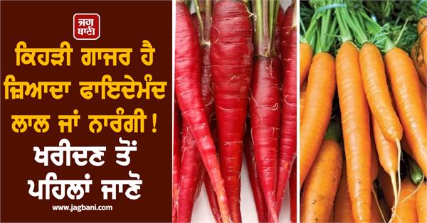 which carrot is more beneficial red or orange 